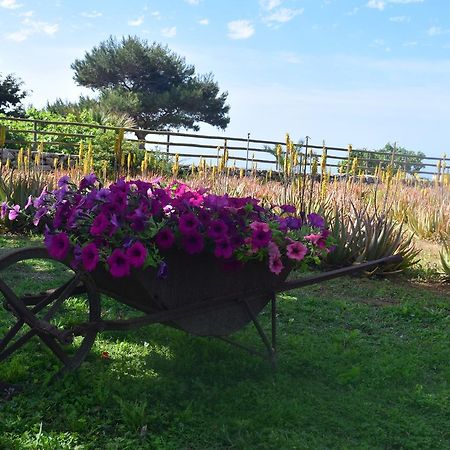 Il Giardino Delle Aloe Pensionat Favignana Exteriör bild