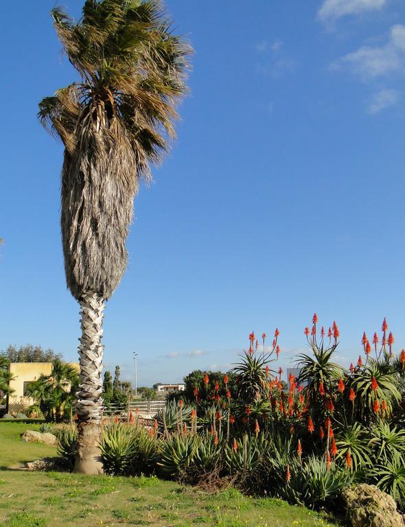 Il Giardino Delle Aloe Pensionat Favignana Exteriör bild