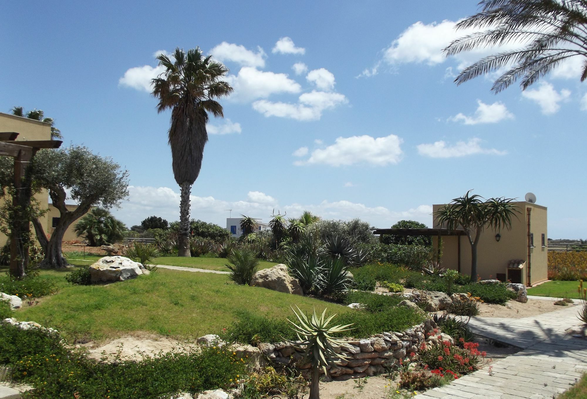 Il Giardino Delle Aloe Pensionat Favignana Exteriör bild