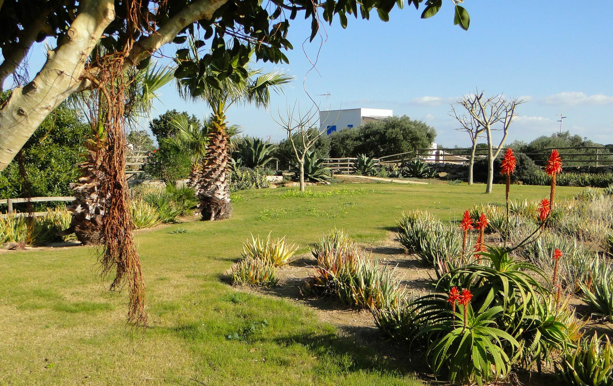 Il Giardino Delle Aloe Pensionat Favignana Exteriör bild