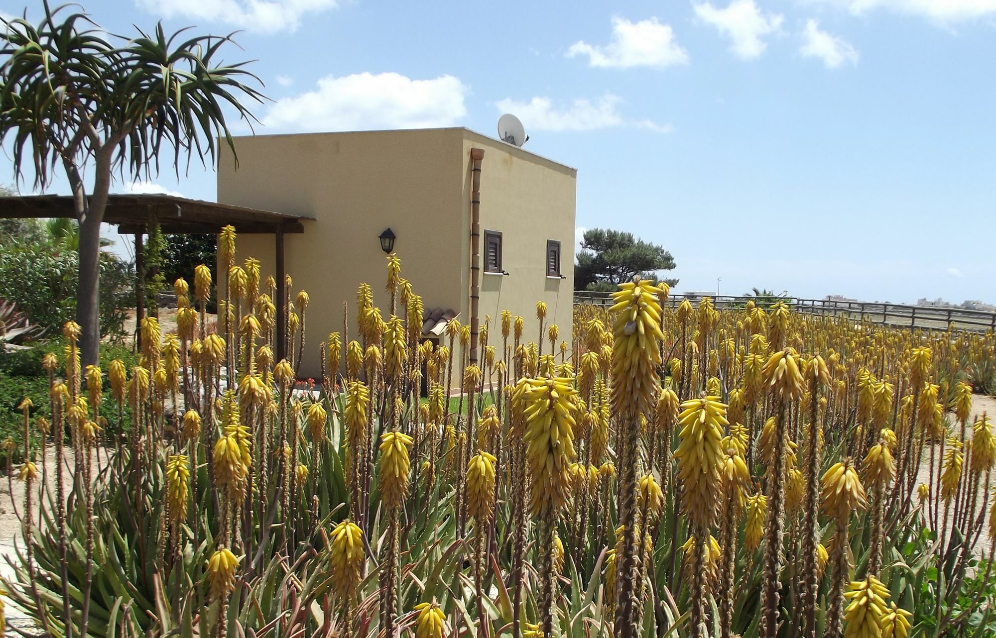 Il Giardino Delle Aloe Pensionat Favignana Exteriör bild