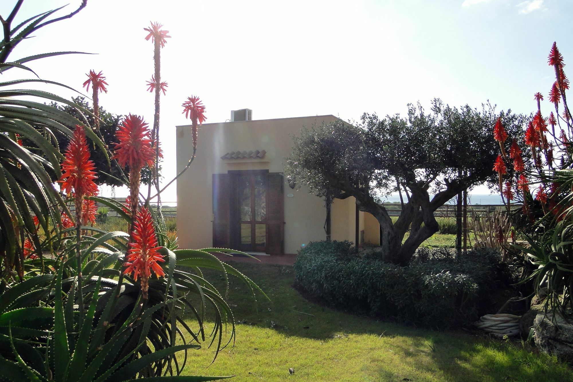 Il Giardino Delle Aloe Pensionat Favignana Exteriör bild